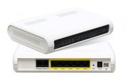 FLEXGAIN ACCESS VOICECOM 110-2 (2 АБ.П.)
